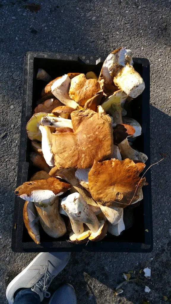 Menu_Restaurante Victoria_Forcarei_image_9