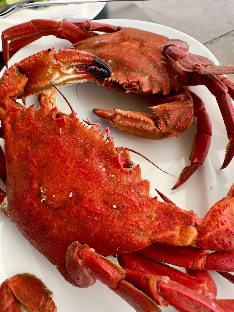 Toñi Carrero_Restaurante Nordés_Bueu_review