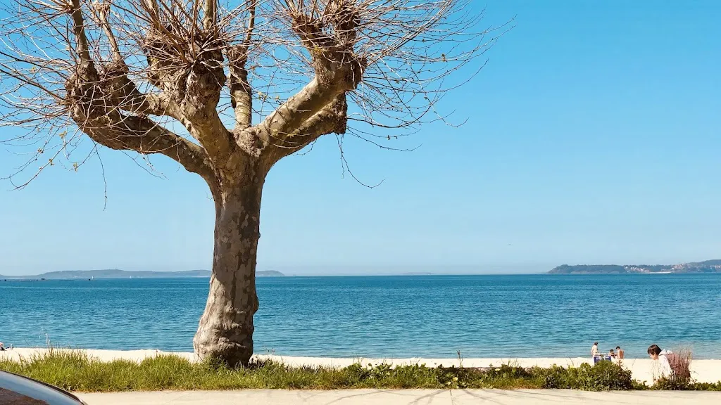 Bertram Schulte_Restaurante Churrasquería Ramón_Bueu_review