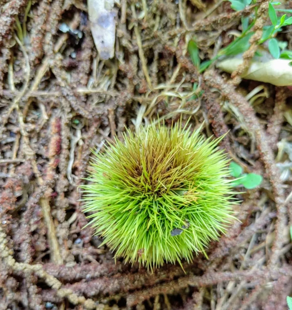 Bueu Coviran_Bueu_slider_image_2