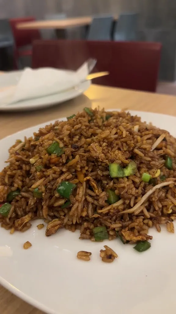 Alina Sokoliuk_Llama Wok_Lama A_review