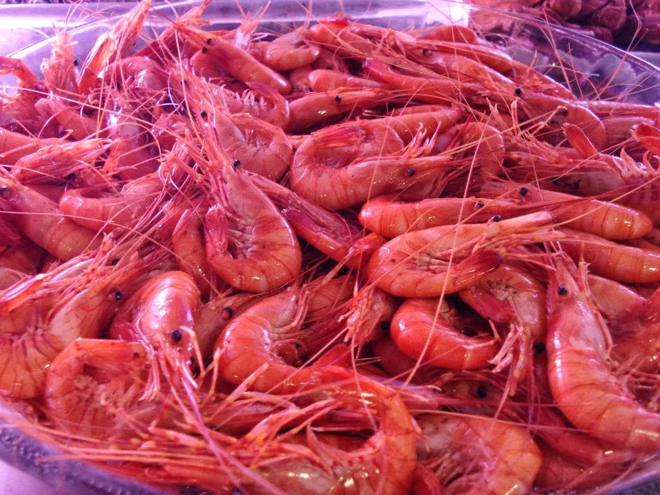 Marisqueira Sardinha | Cervejaria | Restaurante |_Guarda A_slider_image_3