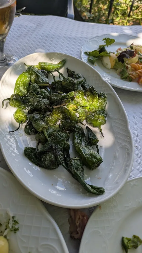 Montserrat Tallardà Solana_Yago's Pub Restaurante_Mondariz_review