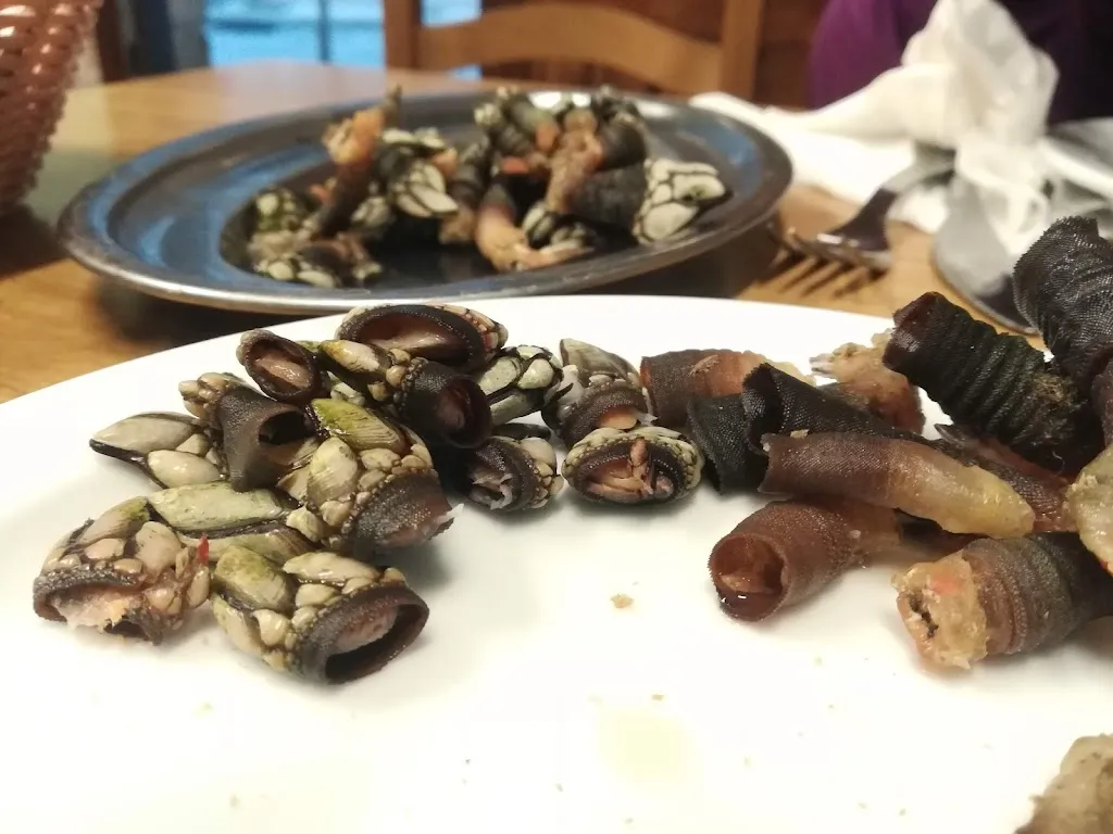 Maya Zh_Bodega Mondariz_Mondariz_review