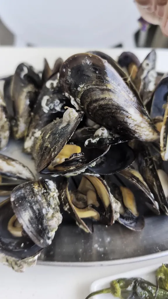 Mark Auchincloss_Chiringuito Punta Furado_Illa de Arousa A_review