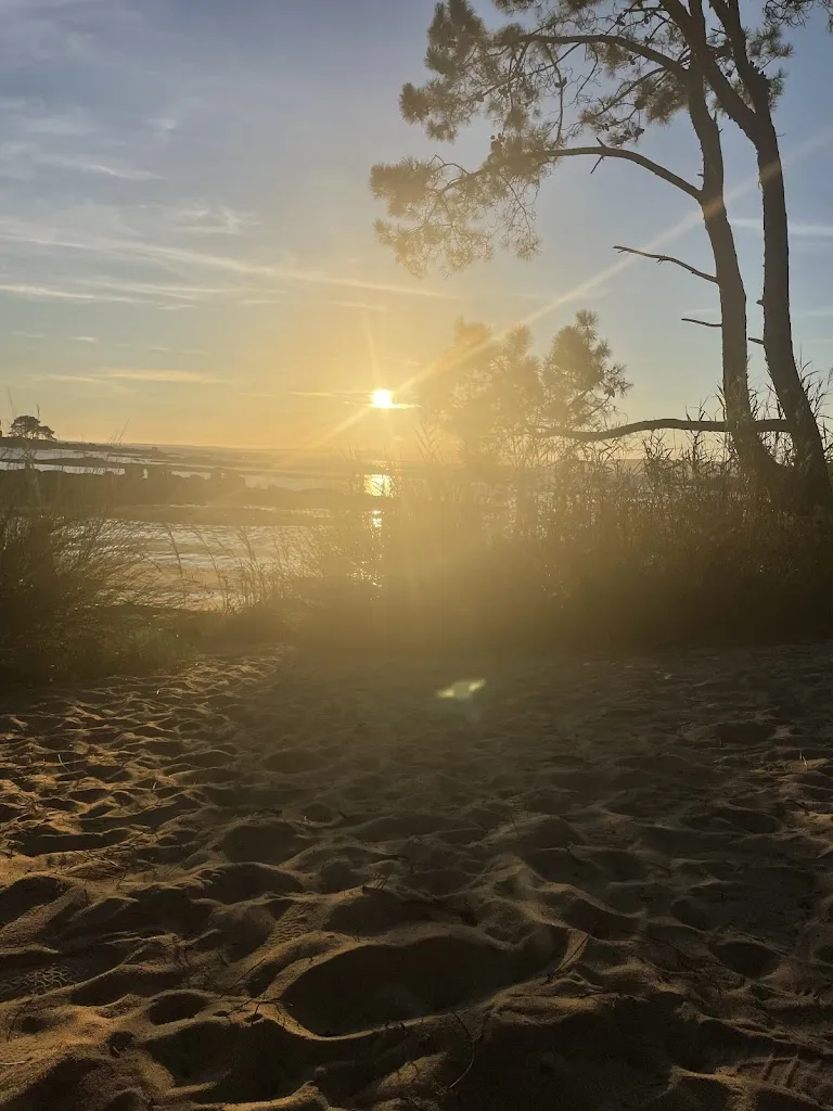 Theresa Geyer_Chiringuito La Calita_Illa de Arousa A_review