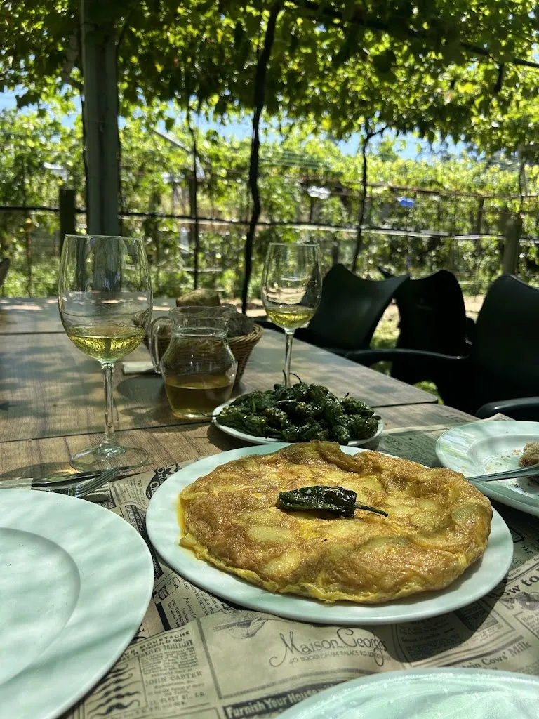 Paola Saus_Duas Cepas_Meaño_review