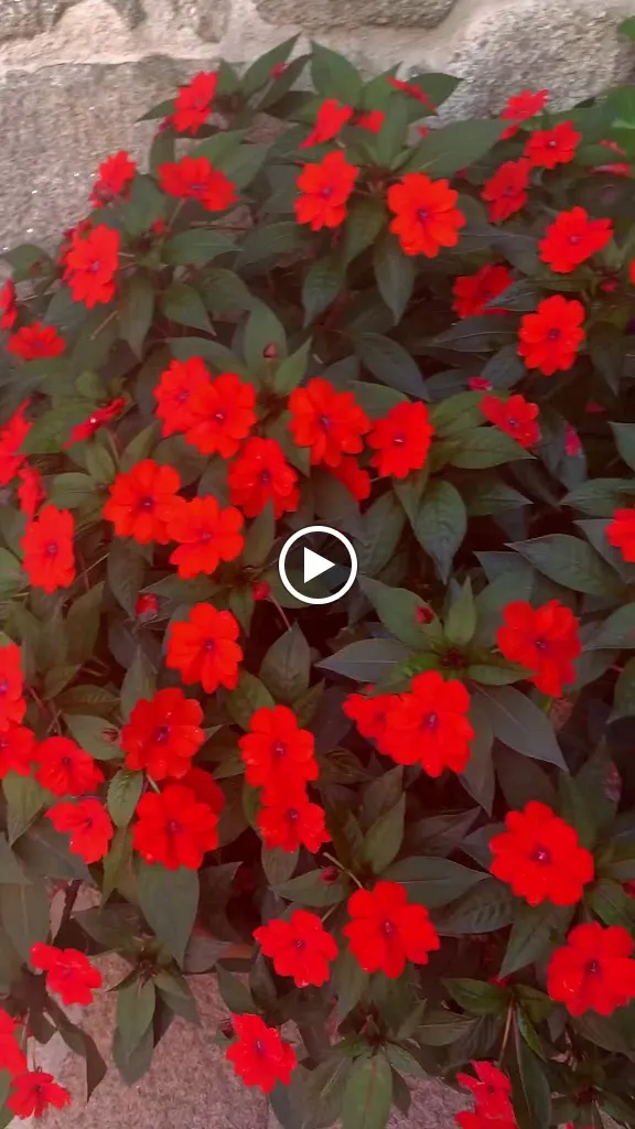 Quinta de San Amaro Hotel - Rías Baixas_Meaño_slider_image_2