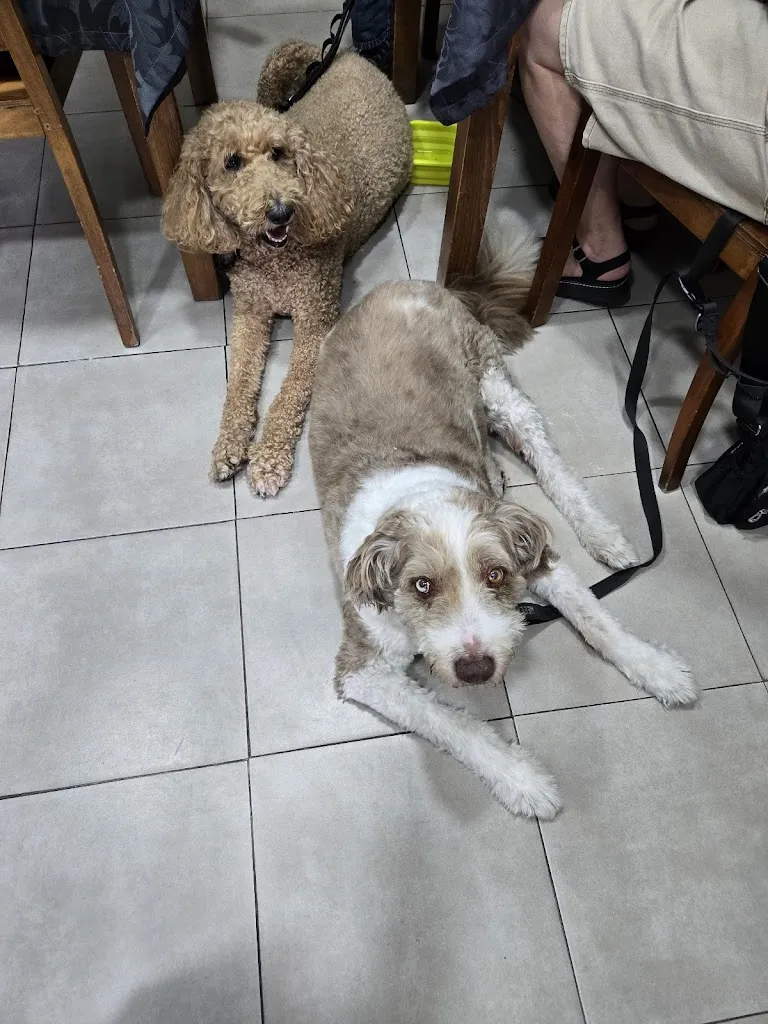 M Lehm_Taberna do chefe_Gondomar_review