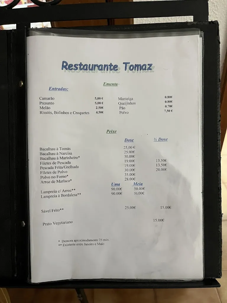 Antonieta Ponce de Leão_Tomaz_Gondomar_review