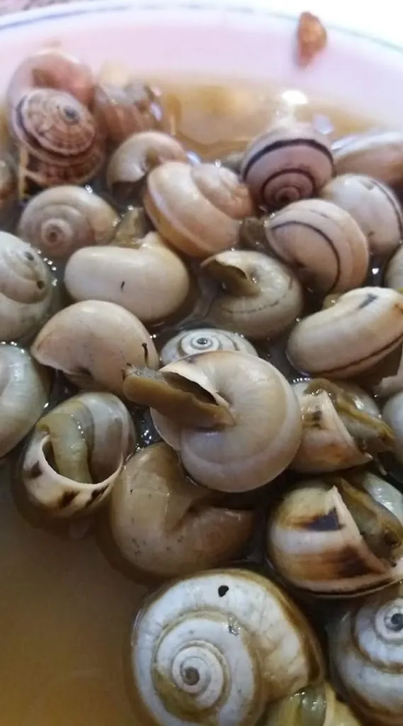 Menu_Adega bons amigos_Gondomar_image_7