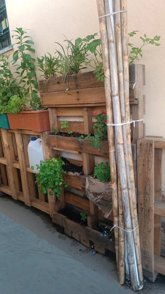 Miguel Ferreira_Adega bons amigos_Gondomar_review