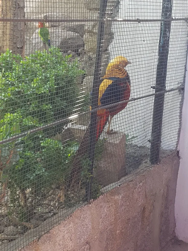 Rui Oliveira_Café Restaurante Familiar_Gondomar_review