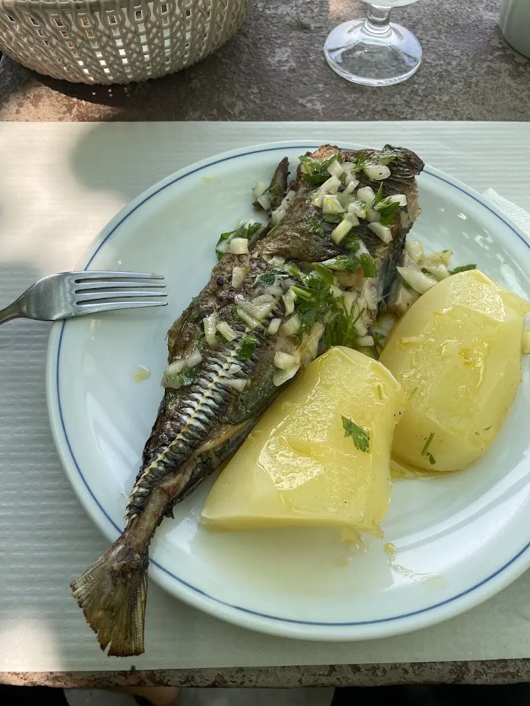 João Castro_Adega Vigário_Gondomar_review