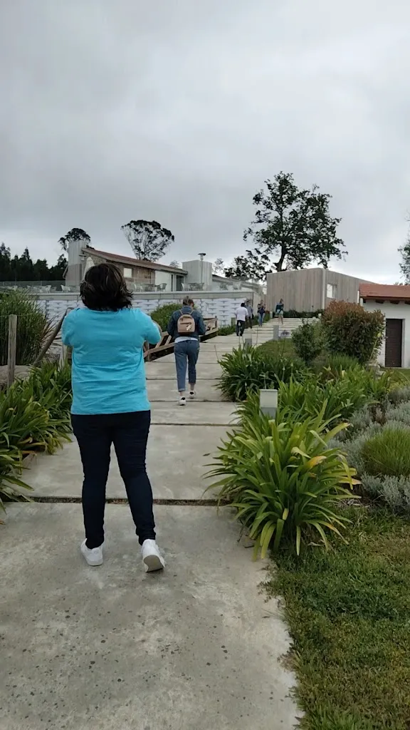 Restaurante Nande (Horta e Viño)_Neves As_slider_image_2