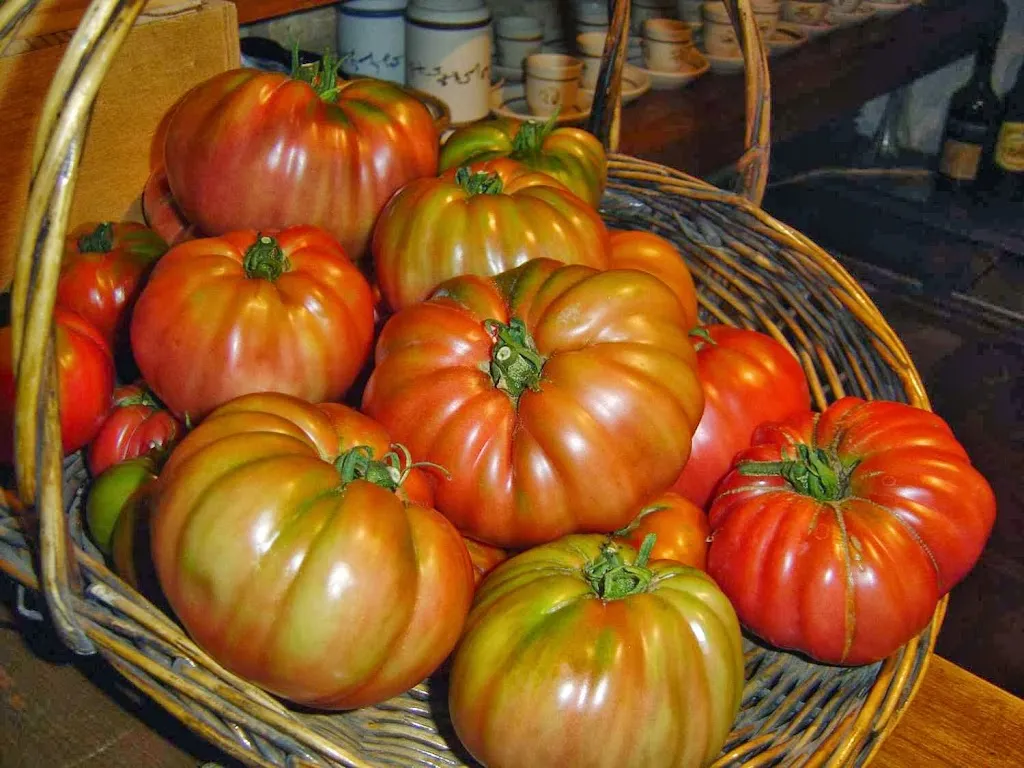 Taberna O Lagar en Eiras_O Rosal_slider_image_2