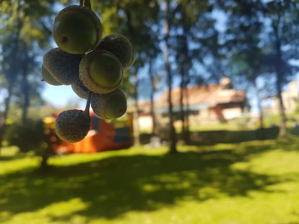 Daniel Peel_Restaurante Ta-pra_Mos_review