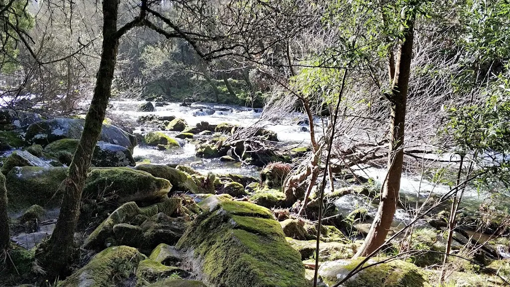 Mesón Parada_Ponte Caldelas_slider_image_2