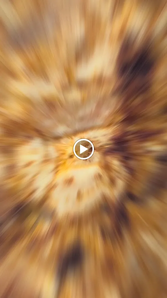 Kebab ponte caldelas_Ponte Caldelas_slider_image_2