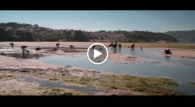 Pinela Terraza - Poio_Poio_slider_image_2