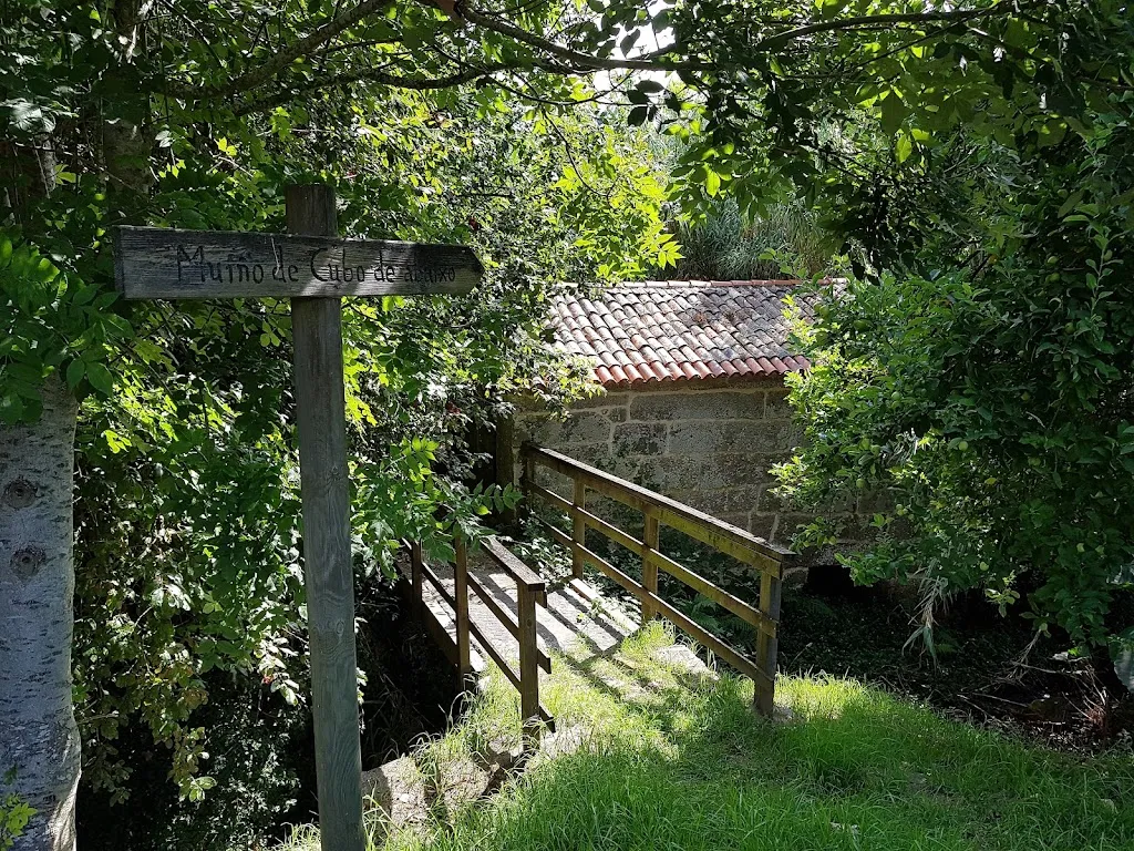 Rachel Kerr_Ruta dos Muíños de Samieira _Poio_review