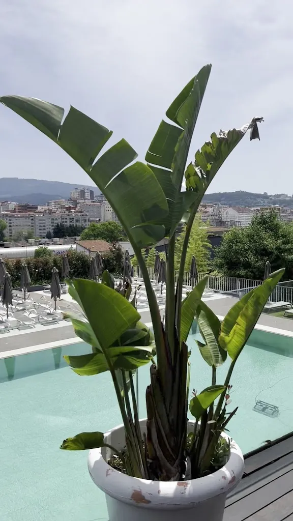 Erika Sánchez castaño_Liceo Casino  Pontevedra_Poio_review