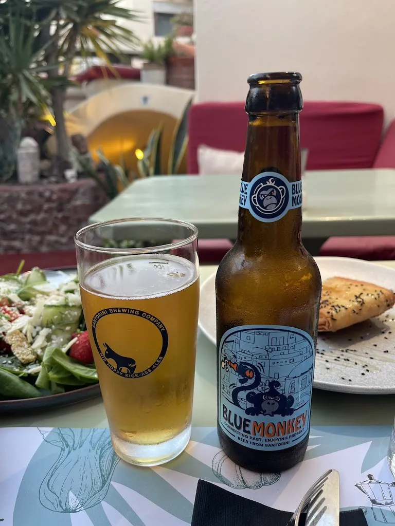 Liviu Zarnovean_Karma | Oia_Oia_review