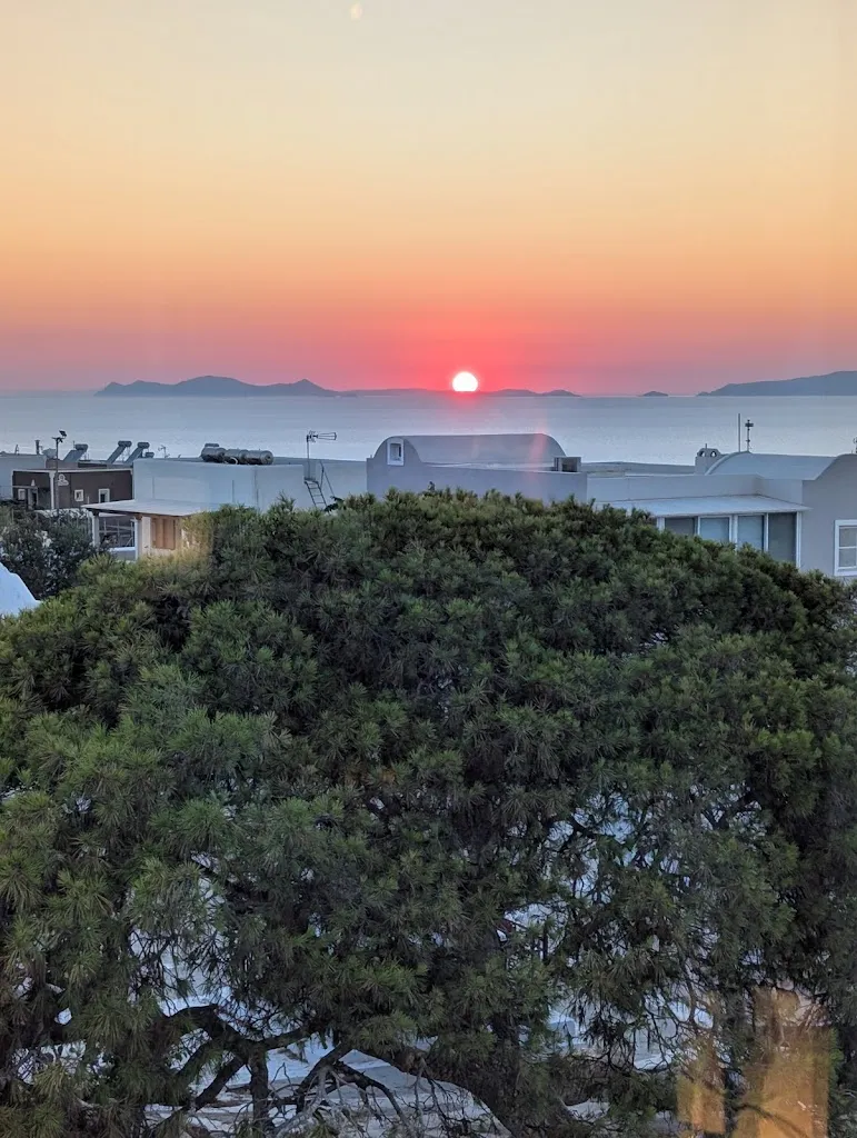 Arran Monaghan_Petrosia_Oia_review