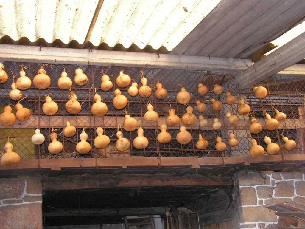 Mesa de Pedra  restaurant in Pontecesures