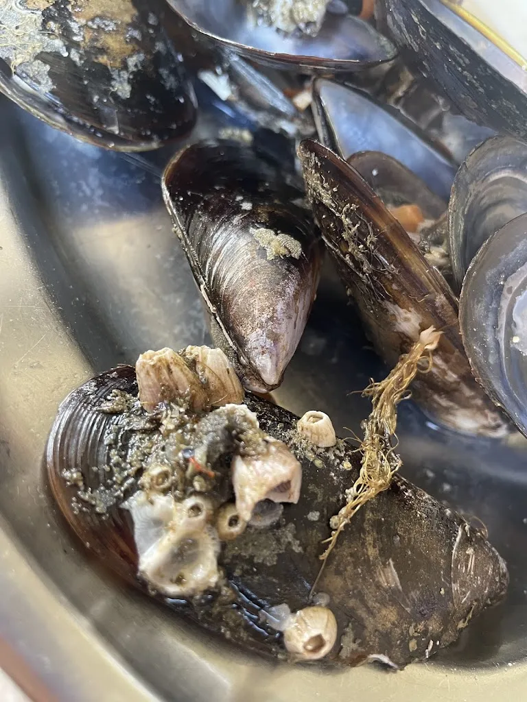 Menu_Furancho Cacheiral_Ribadumia_image_3