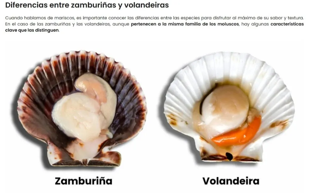 Francisco Jose Cano Domenech_Restaurante A´Esfarrapada_Salceda de Caselas_review