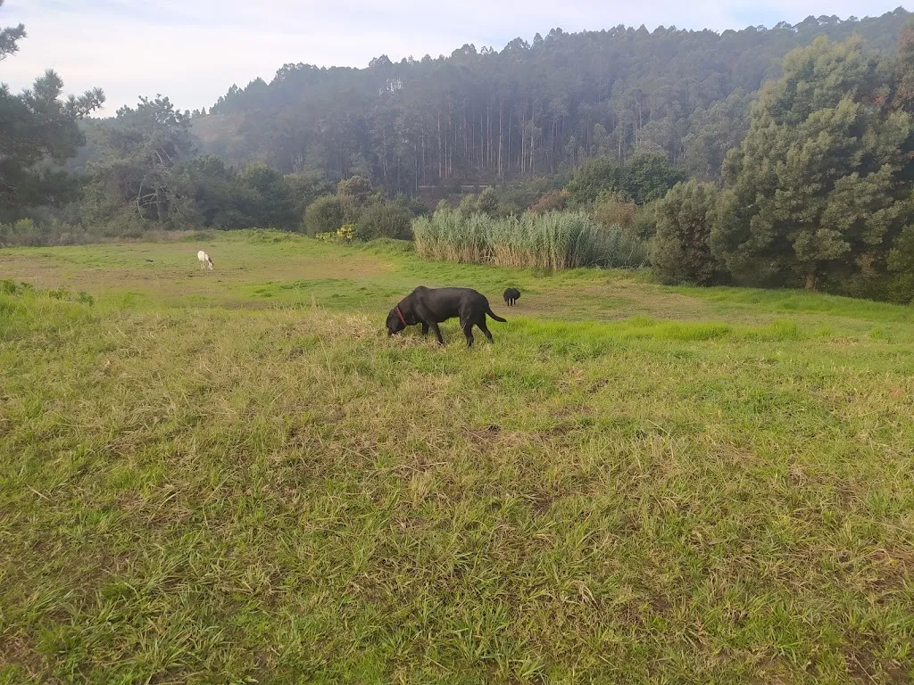 AAVV de Camos_Nigrán_slider_image_1