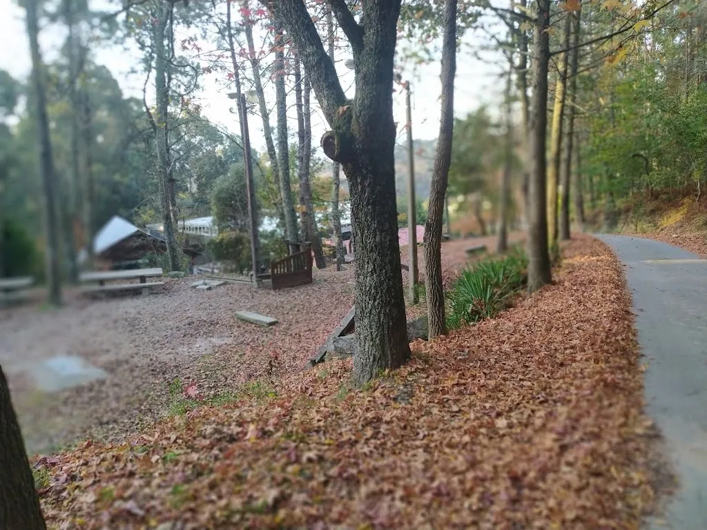 AAVV de Camos_Nigrán_slider_image_2