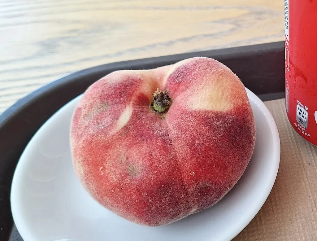 daniel pan suarez_Mollo Espacio Gastronómico_Nigrán_review