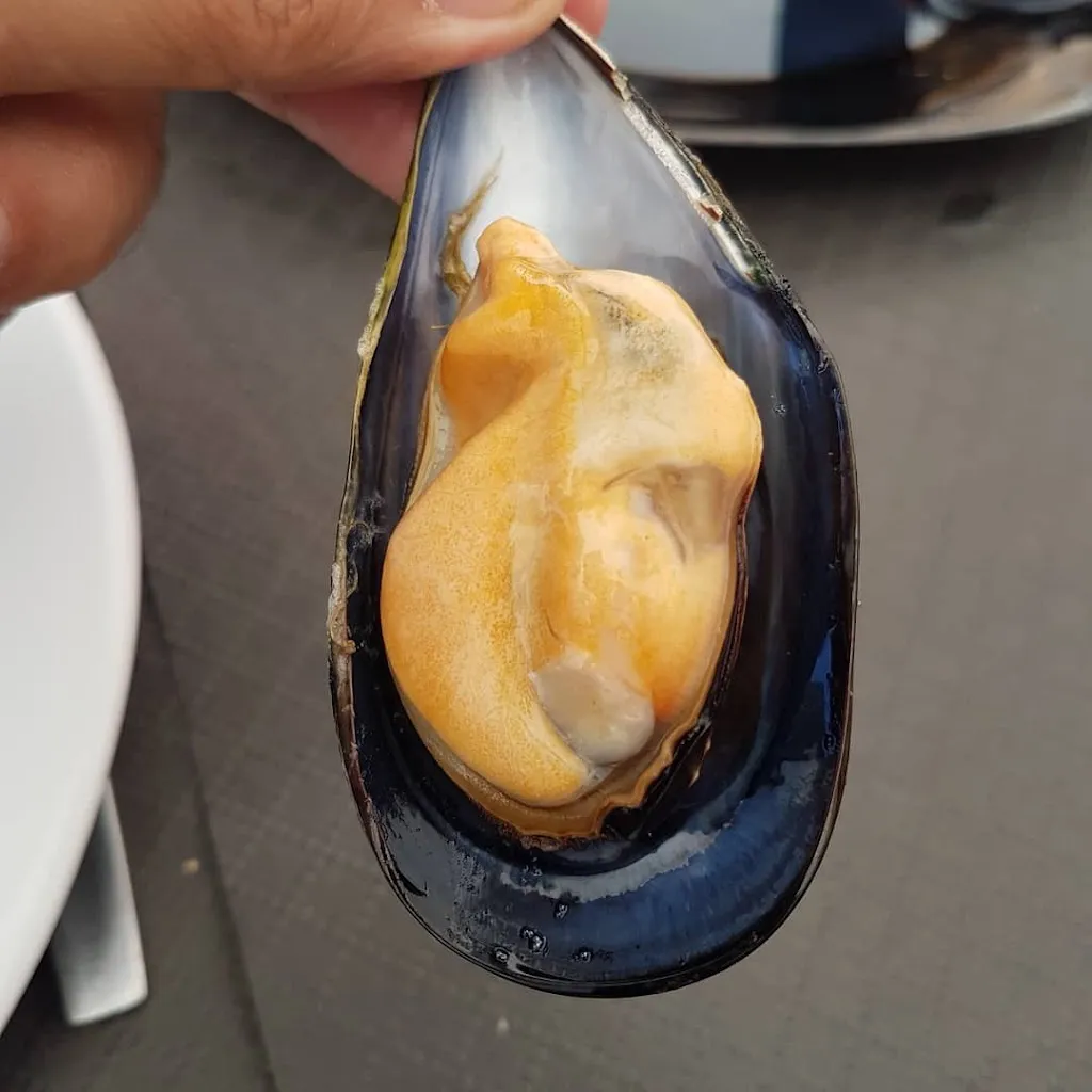 Menu_TAPERIA JOSE_Nigrán_image_7