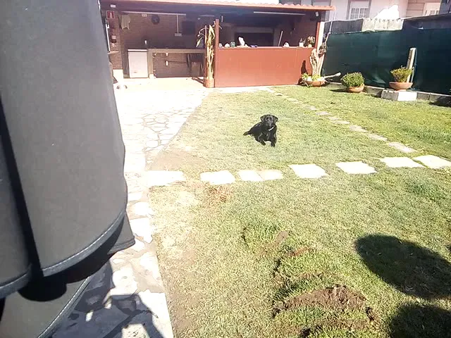 TAPERIA JOSE_Nigrán_slider_image_2