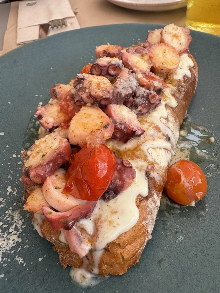 Fatima Ayoub_Ameri Køzy_Nigrán_review