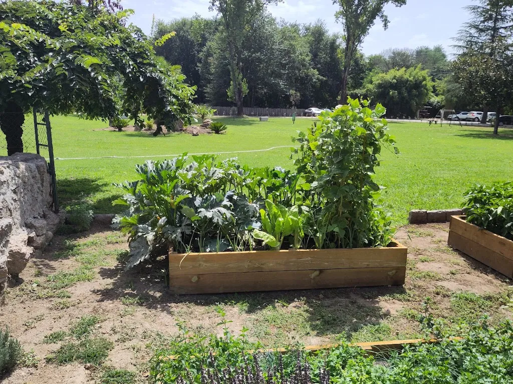 Jaume Aliaga Huguet_Restaurante Catavento Garden Gastro _Ponteareas_review