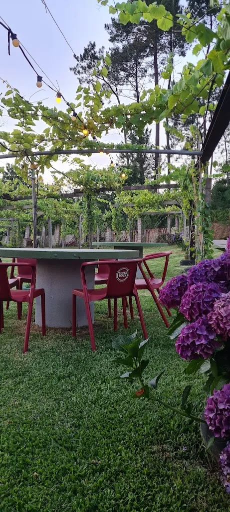 João Michel_A Adega do Juan_Salvaterra de Miño_review