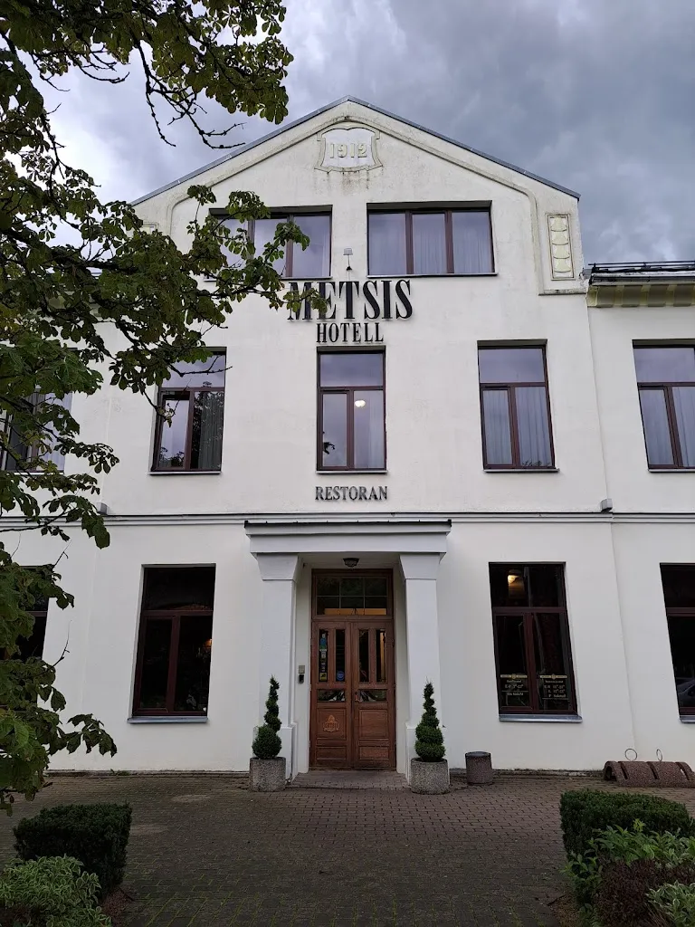 Gerard Moloney_Metsis hotell_Valga_review