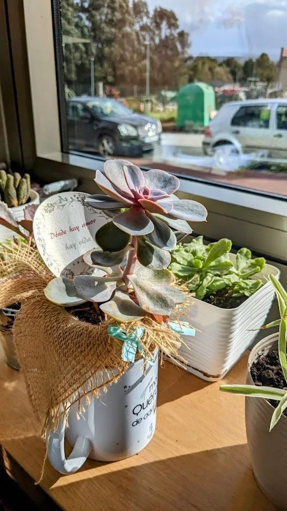 Menu_Café Bar Ugía_Silleda_image_5