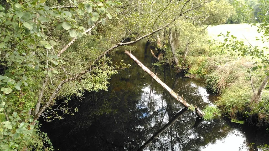 Pino Restaurante restaurant in Silleda