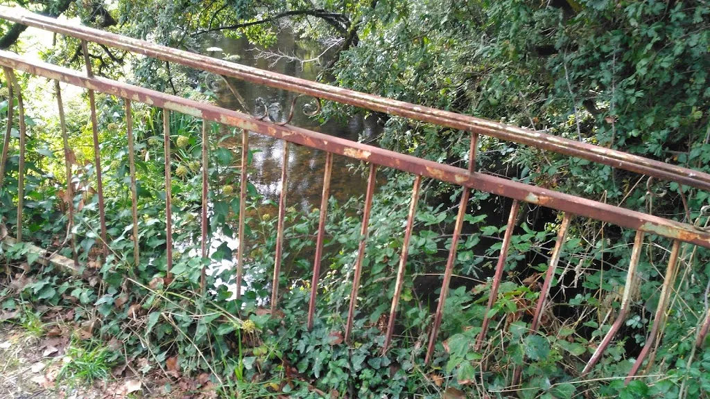 Pino Restaurante_Silleda_slider_image_2