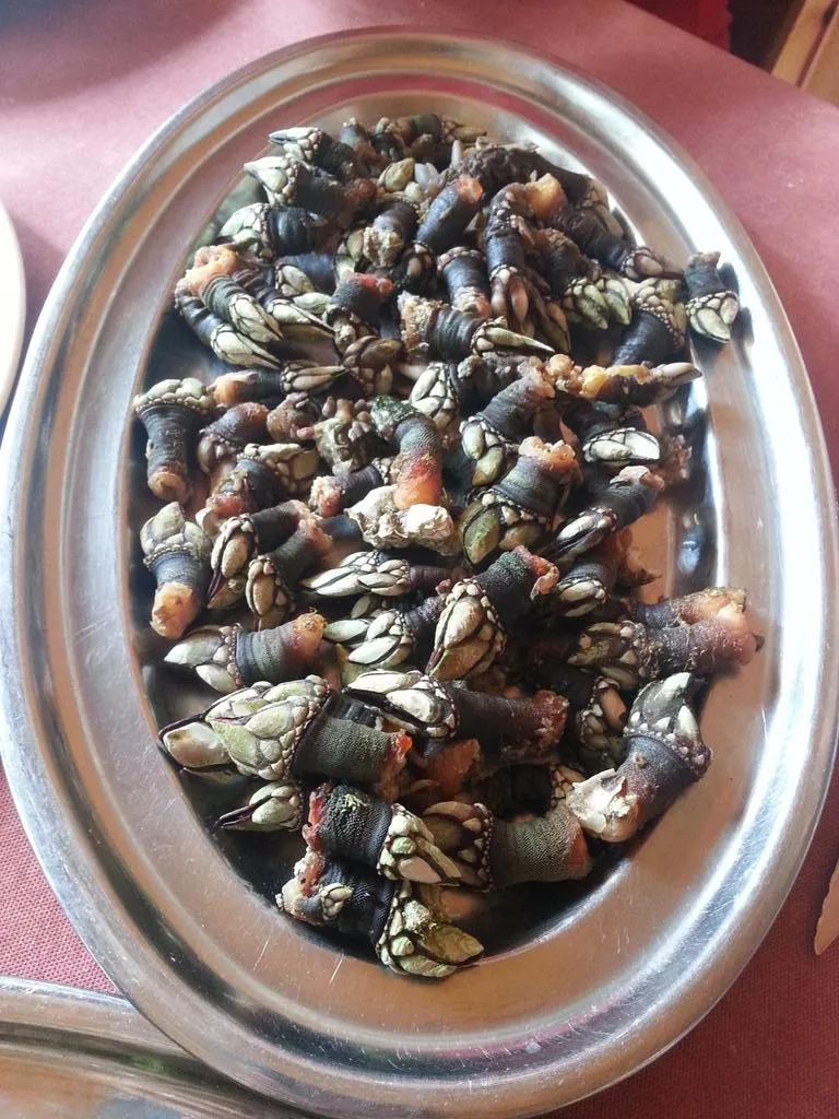 Menu_Taberna Do Carril_Vilagarcía de Arousa_image_9