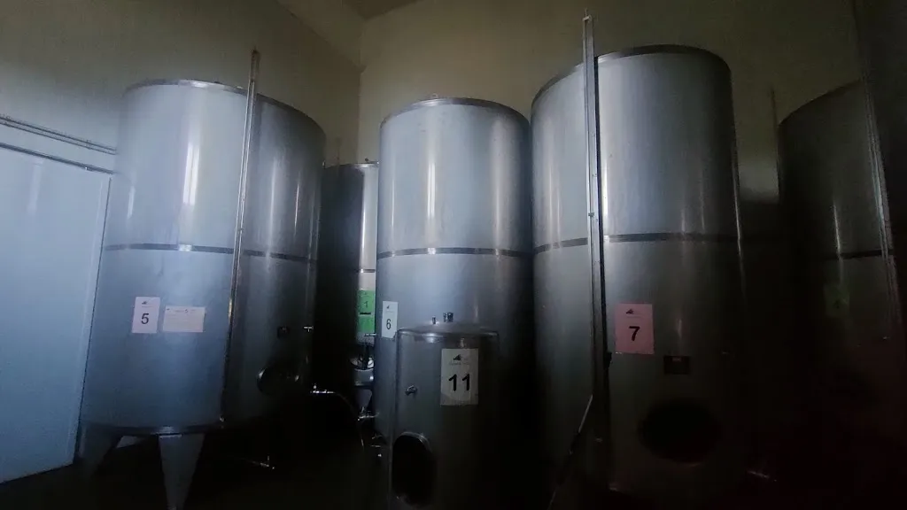 Agus Mis aventuras_Aceite Virgen Extra Ecológico Gourmet Visitas y Catas Aceiteros del Águeda_Ahigal de los Aceiteros_review