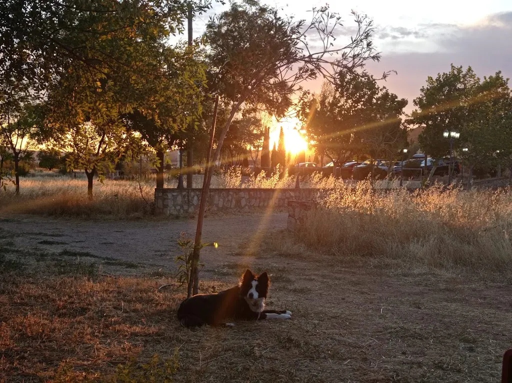 Tati Alia_Finca Cortés Asador La Alquería de Manu_Alaraz_review