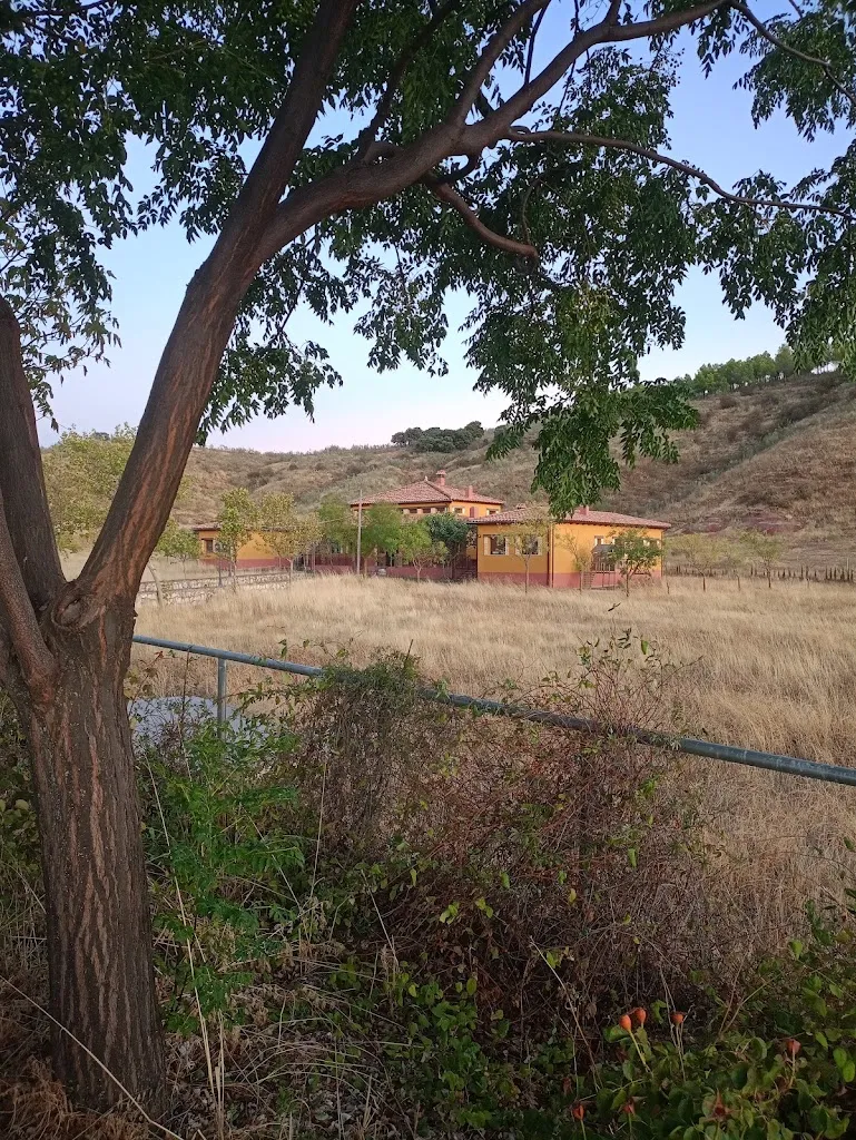 Vicente Roig_Finca Cortés Asador La Alquería de Manu_Alaraz_review