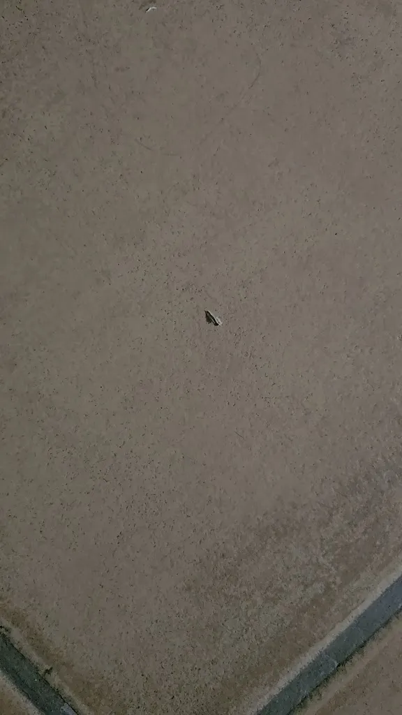 ELISABET GARCIA DOMINGUEZ_Hotel Rural La Plazuela_Aldealengua_review