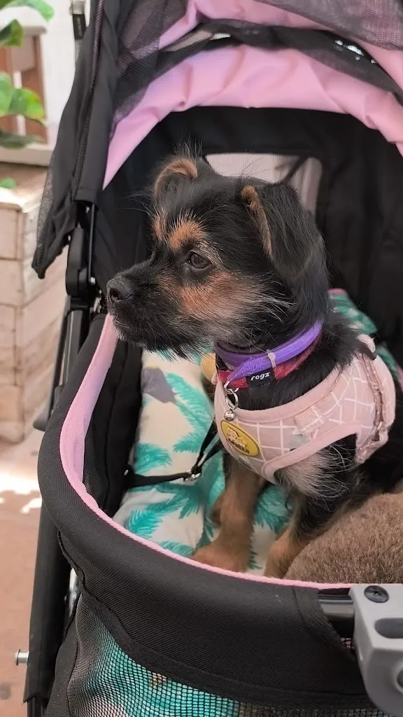 Elisa creaciones_Restaurante Garum_Adra_review