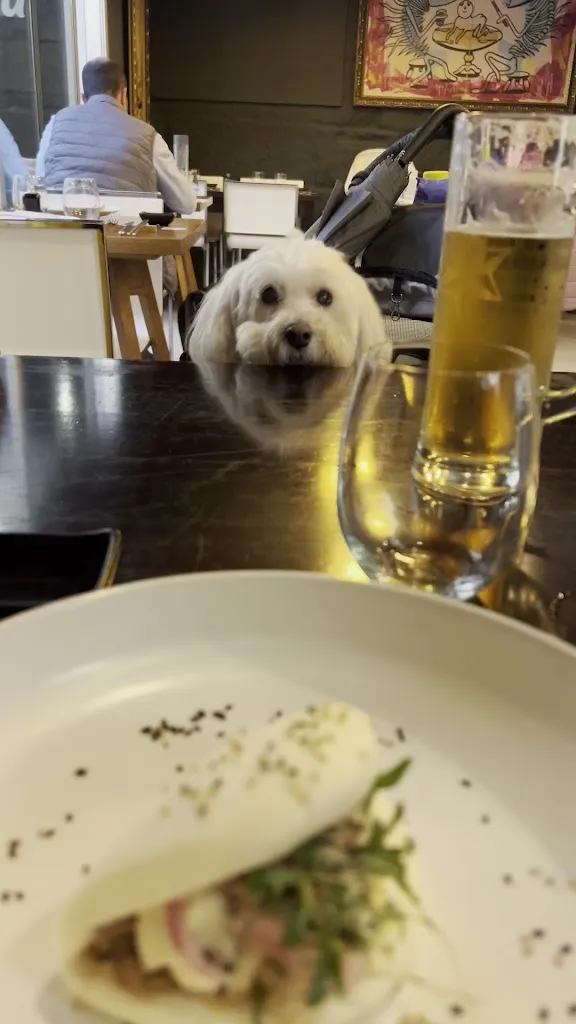 william chitra-straley_Nikko Espacio Gastronomico_Vigo_review